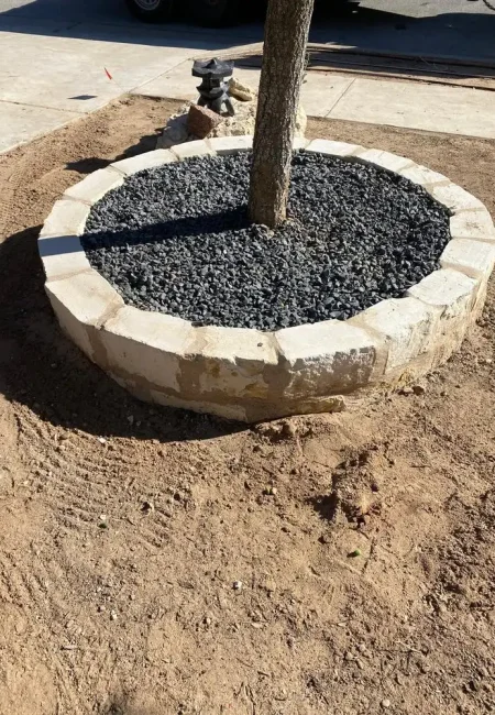 o (36)